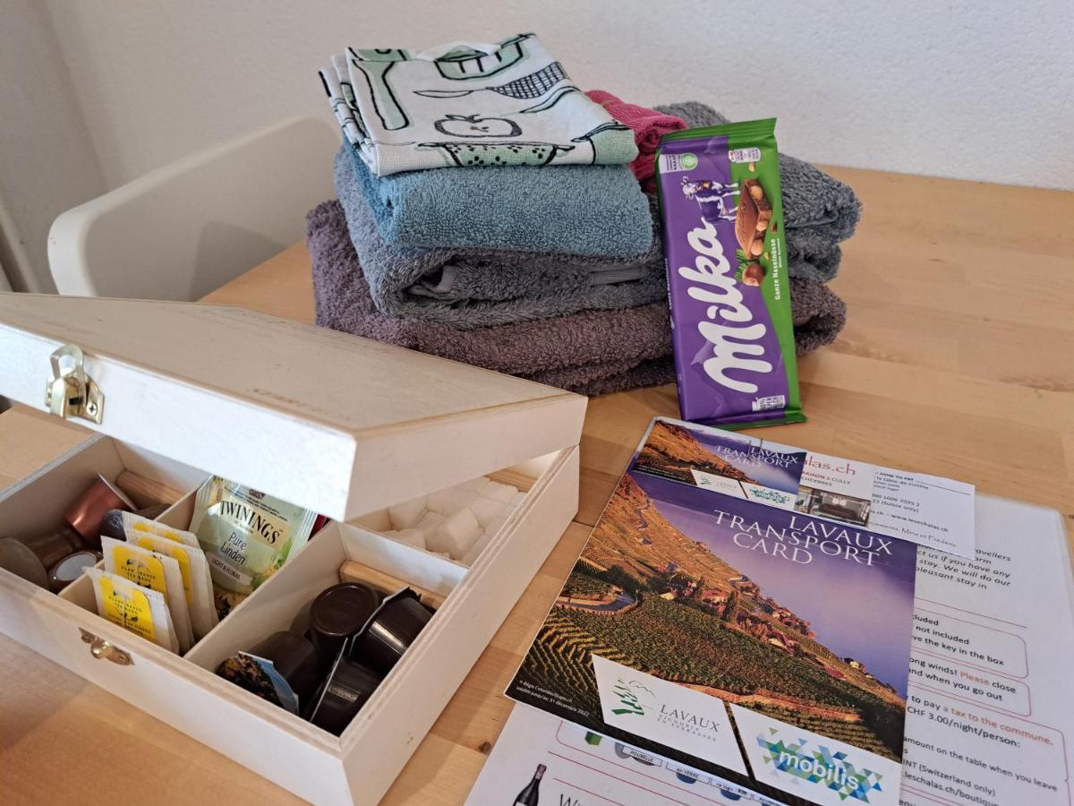 "Les Echalas" Appartement Independant Avec Cuisine En Lavaux Unesco Chexbres Ngoại thất bức ảnh
